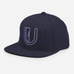 classic-snapback-navy-front-66c2eb0222e79.jpg