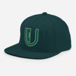 classic-snapback-spruce-front-66c2efbd481e5.jpg