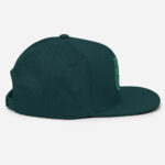 classic-snapback-spruce-front-66c2efbd481e5.jpg